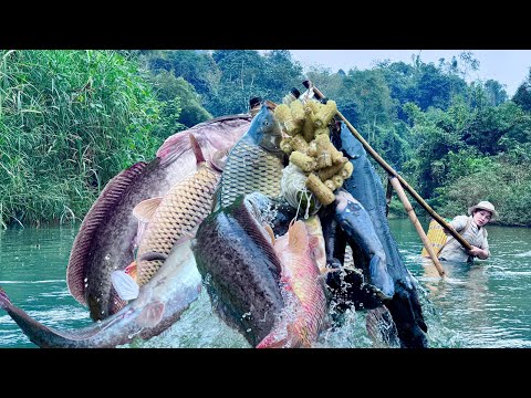 Traditional fishing skills - Single mother catches giant fish with 20-meter bamboo fishing rod