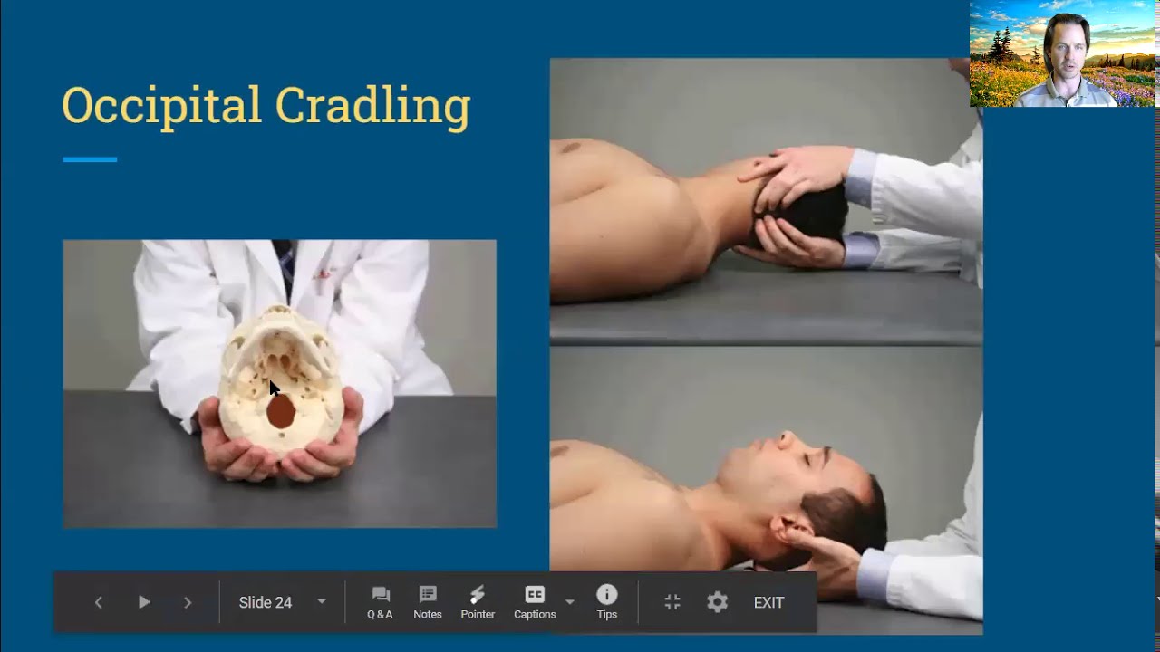 A Brief Review of Osteopathy in the Cranial Field