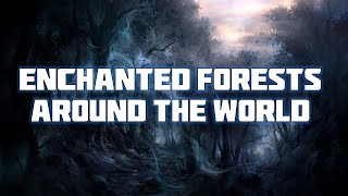 Enchanted Forests Around The World
