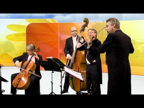 FAN Television: STUDIO 2 - Das Bremer Kaffeehaus Orchester - Sendung vom 01.11.2011