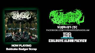 Tintagel - Schindlers Fist (2014) Album Preview