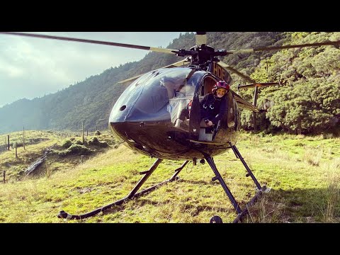 The Last Mangatoi Cattle Muster