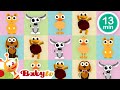Mice Ducks Puppies More Fun With Animals BabyTV