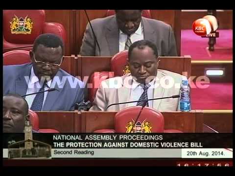 MPs commence debate on domestic violence bill