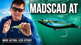 Best Casting Lure for Estuary, Inshore & Offshore Fishing | NEW Madscad AT
