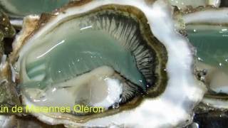 preview picture of video 'Les huîtres de l'île d'Oléron'