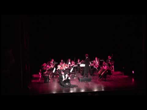 Nicolas Krauze conducts Verdi's Rigoletto: V'ho ingannato