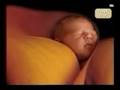 Celine Dion - Baby close your eyes 