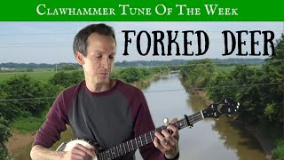 Clawhammer Banjo: Tune (and Tab) of the Week - "Forked Deer"