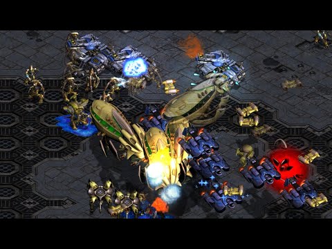 DAY 62 FUSS! Flash! Stork! Terror! Scan! Effort! Mini! FFA! Monobattles! More! - StarCraft - 2024