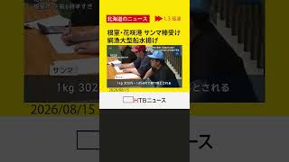 サンマ棒受け網漁　大型船1隻が根室・花咲港で水揚げ　大きめの魚体も