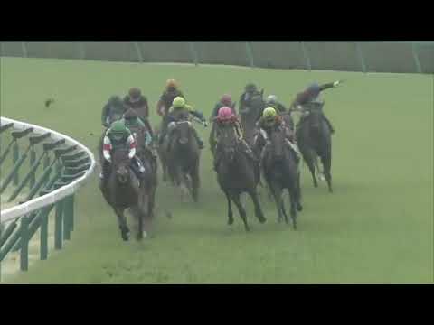 2021.04.04 Osaka Hai (JPN) - Lei Papale