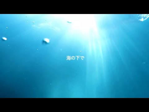 Kodaman - Ils vivaient sous l'eau