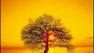 Two Sunsets Due Tramonti Ludovico Einaudi