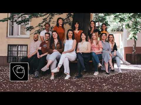 Ivan & The Parazol medley - ProVocal