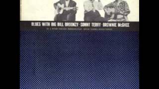 Blues With Big Bill Broonzy, Sonny Terry & Brownie Mcghee (part 10 of 13)