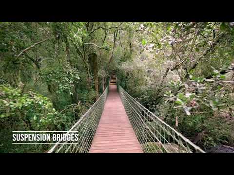 Graskop Gorge Lift Company - Suspension Bridges