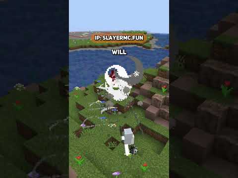 Things not to do on demon slayer smp  #minecraft