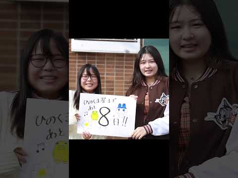 ひのくま祭まであと８日！　#shorts