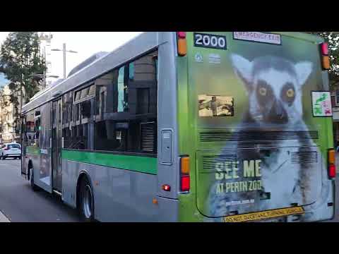 TP2000 Transperth Bus Mercedes-Benz OC500LE CNG Departing With MEGA Kickdown And Gearholding