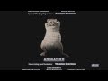 The Wild End Credits Part 2 Good Enough By Lifehouse 1080p HD