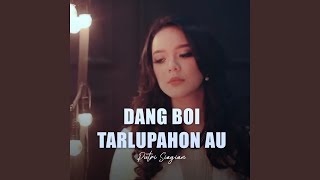 Download lagu DANG BOI TARLUPAHON AU mp3