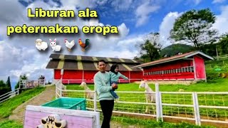 Download lagu LITTLE RANCH UMBUL SIDOMUKTI SEMARANG TERBARU | cukup 10rb Wisata & Edukasi 🐑🐇🐔🐓 mp3 Download lagu LITTLE RANCH UMBUL SIDOMUKTI SEMARANG TERBARU | cukup 10rb Wisata & Edukasi 🐑🐇🐔🐓 mp3
