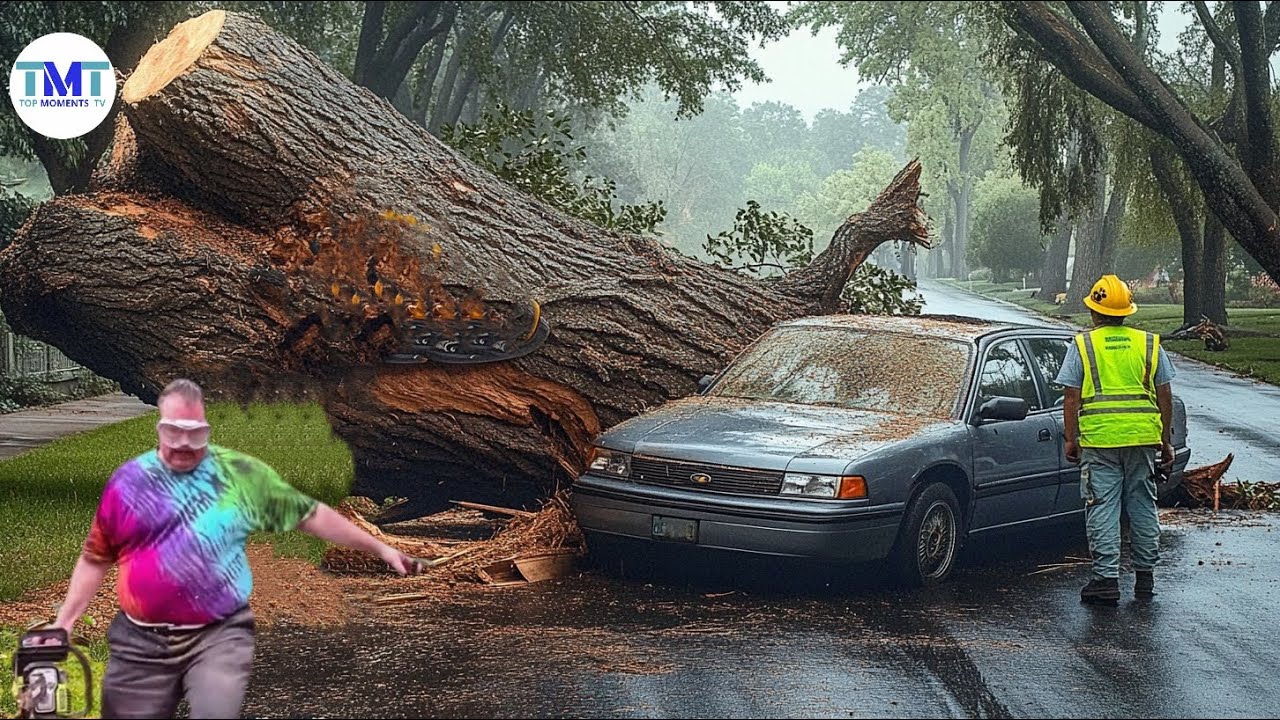 Dangerous Fastest Idiots Cutting Tree Fails Skill With Chainsaw | Tree Falling on Houses #01