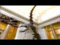 The Dinosaurs Flesh On The Bones Part 6