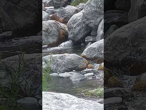 los molles san Luis balneario el talar