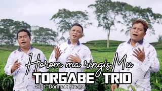 Download lagu TORGABE TRIO - HOROM MA RINGISMU - Cipt. Dompak Sinaga - Lagu Rohani Terpopuler mp3