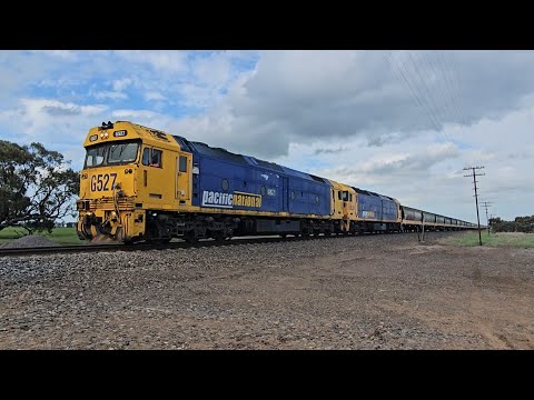 7731V PN down empty grainy (G527, BL31), Geelong to Dimboola, 1555, 26/9/25, Murtoa West VIC 