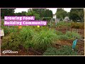 Plants People Purpose Community Garden Volunteer Gardener
