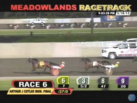 Sevruga - 2013 Arthur J. Cutler Memorial - The Meadowlands Racetrack