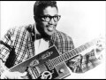 Bo Diddley - Live My Life