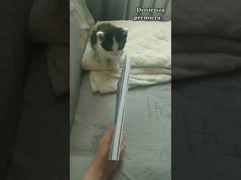 Premiera 🤩 #premiera #nowość