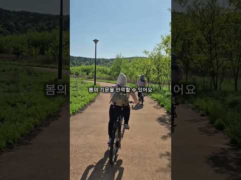 자전거 타기 좋은 곳! 우륵문화마당근린공원 #고령군SNS기자단 허은정
