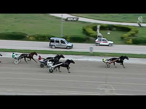 Aversa trotto 14 Novembre 2020 - 6° Corsa