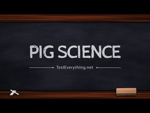 Pig Science - 119 Ministries thumbnail