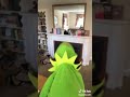 Kermit The Frog