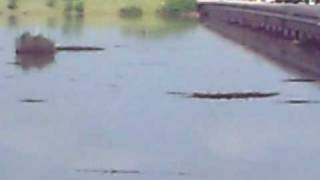 preview picture of video 'Mercedes Texas Floodway'