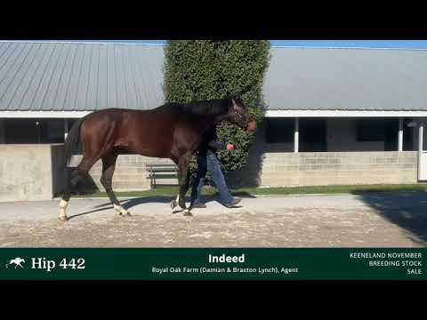 Hip 442 Kee Nov 25   1080WebShareName