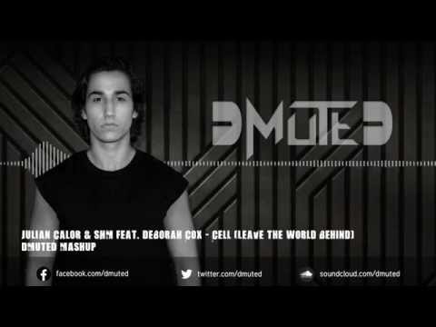 Julian Calor & Swedish House Mafia feat. Deborah Cox - Cell (Leave The World Behind) [DMuteD Mashup]