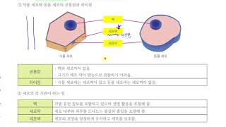 [초등과학 6-1 무료강의] 4. 식물의 구조와 기능 ① 식물을 이루는 세포는 어떻게 생겼을까요?