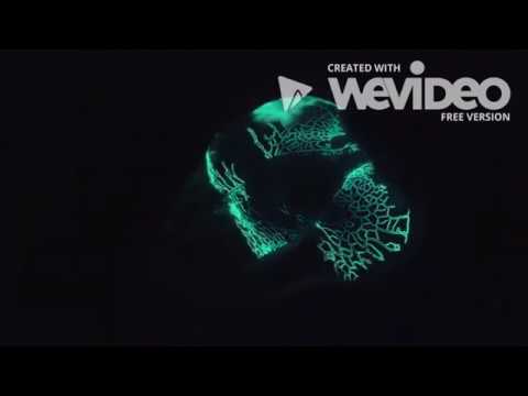 Lesser Key of Solomon