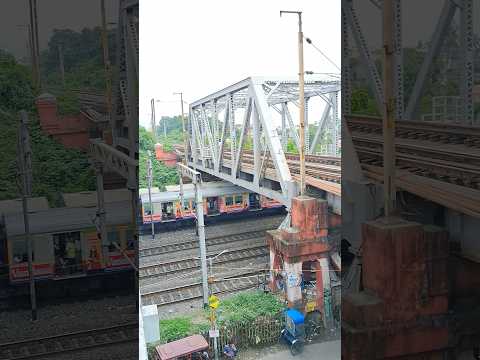 Two Conventional Emu Crossing Under Bridge #shorts