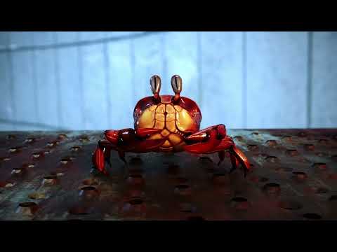 MJM Lille - Anim3D - Film 2022-2023 - Krank