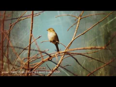 download lagu mp3 mp4 Inner Fitness Sounds, download mp3 Inner Fitness Sounds free downloadn, video klip Inner Fitness Sounds