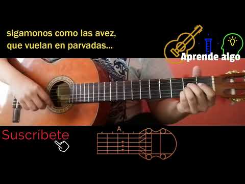 Cardúmenes - Siddhartha