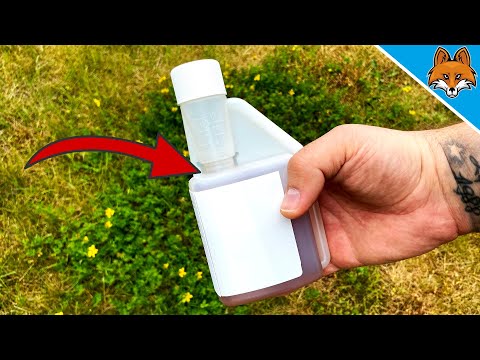 Mit diesem WUNDERMITTEL entfernst du Unkraut im Rasen ganz einfach 💥